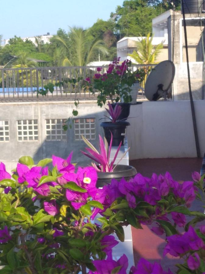 Sun Ocean Inn Mirissa Exterior foto